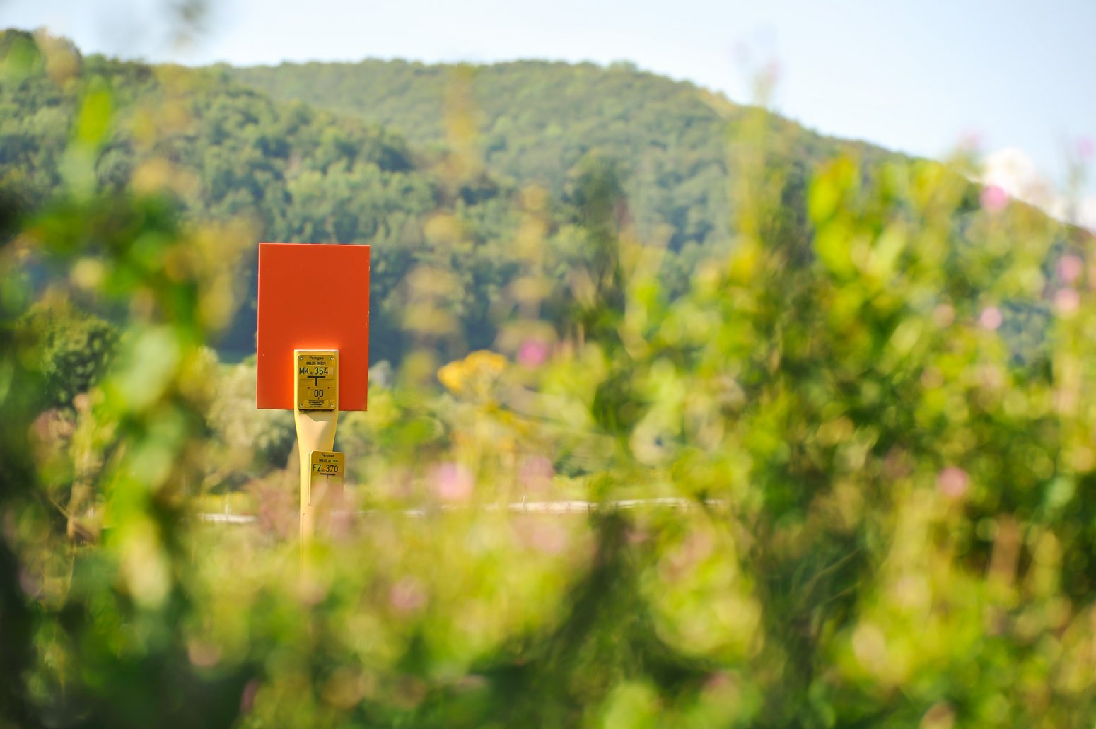 terranets bw Mediathek