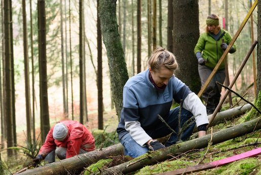 Quelle: Bergwaldprojekt e. V.